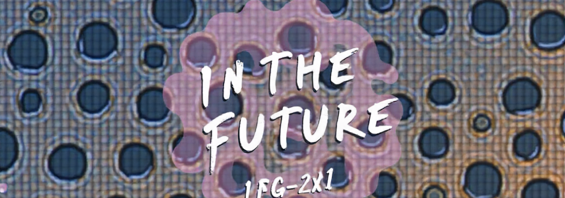 Inspiração Para O Futuro: O Que Aprendemos Com Casos Bem-sucedidos